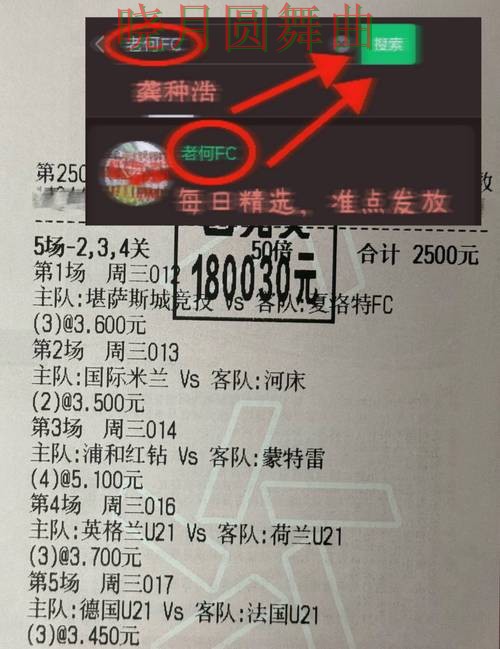 世界杯投注官网德国焦点战数据怎么用 世界杯投注官网德国焦点战数据怎么用