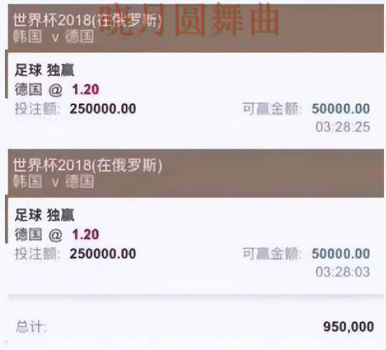 世界杯投注平台最新地址有哪些值得关注的细节