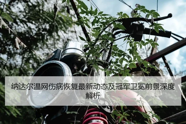 纳达尔温网伤病恢复最新动态及冠军卫冕前景深度解析 | KAIYUN SPORTS